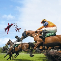 Aintree Grand National & Red Arrows