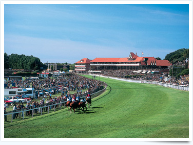 Why not visit Chester Races for a great day out