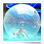Heated indoor swimming pools at all our Pontins Holiday Parks! Heated indoor swimming pools at all our Pontins Holiday Parks!