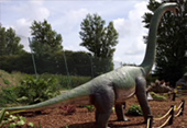 Camber Sands - Dinosaur Park