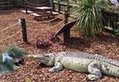 Camber Sands - Dinosaur Park