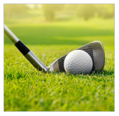 2017 Royal Birkdale Open Golf