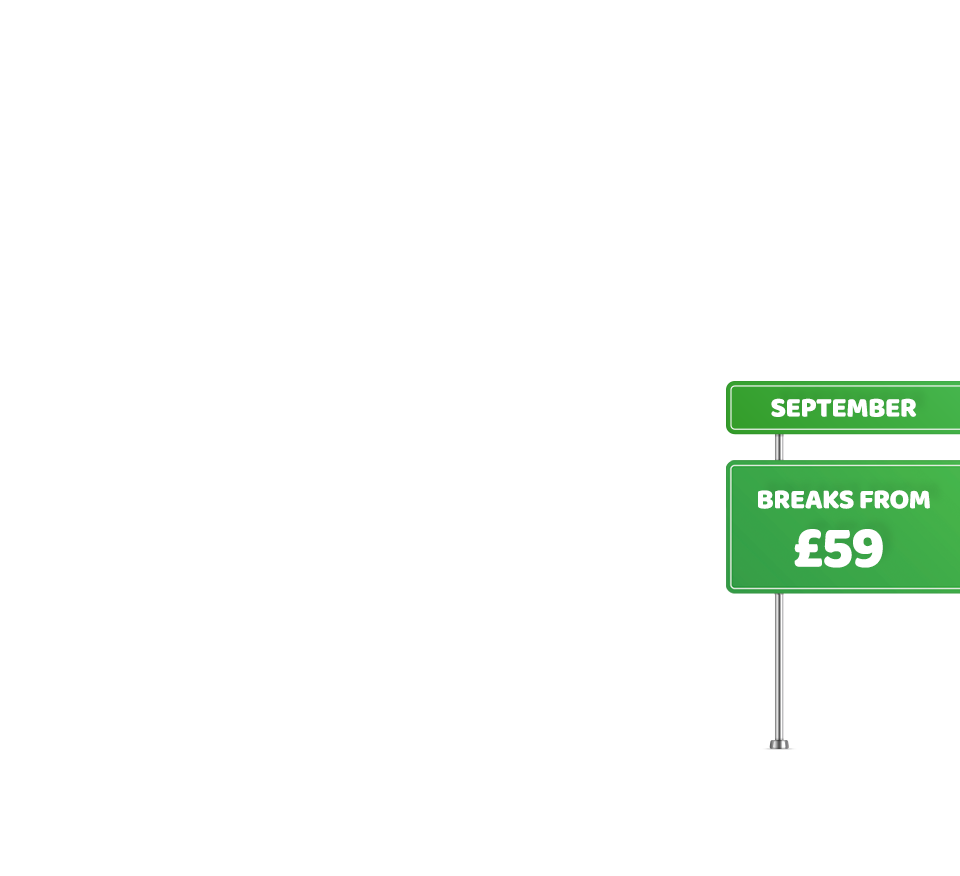 Summer Offers