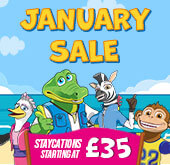 January Sale