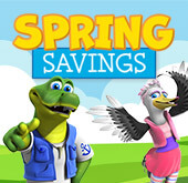 Spring Savings