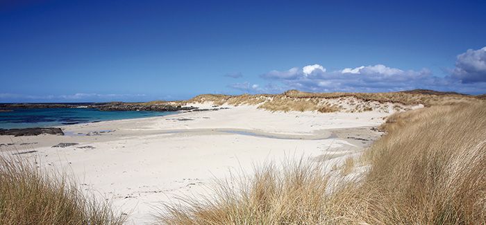 Camber Sands Holiday Park