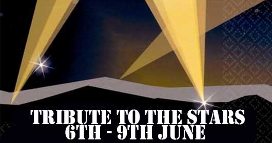 Banner for Themed Breaks at Pontins Holiday Parks.