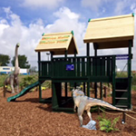 Dinosaur Park