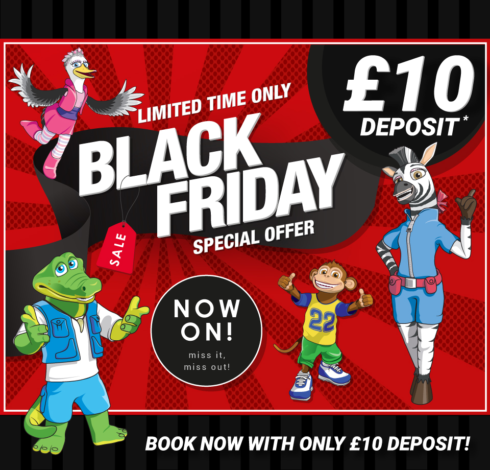 Black Friday Sale Now On! | Pontins - When Does Cjponyparts Black Friday Deals End